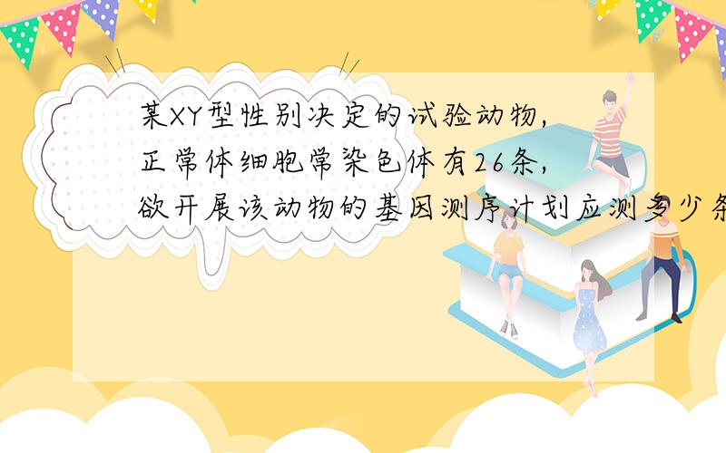 某XY型性别决定的试验动物,正常体细胞常染色体有26条,欲开展该动物的基因测序计划应测多少条