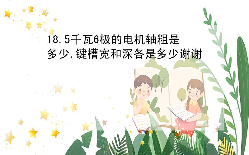 18.5千瓦6极的电机轴粗是多少,键槽宽和深各是多少谢谢