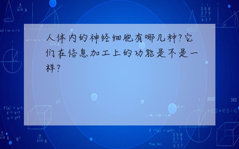 人体内的神经细胞有哪几种?它们在信息加工上的功能是不是一样?