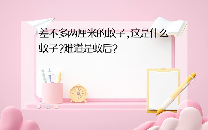 差不多两厘米的蚊子,这是什么蚊子?难道是蚊后?