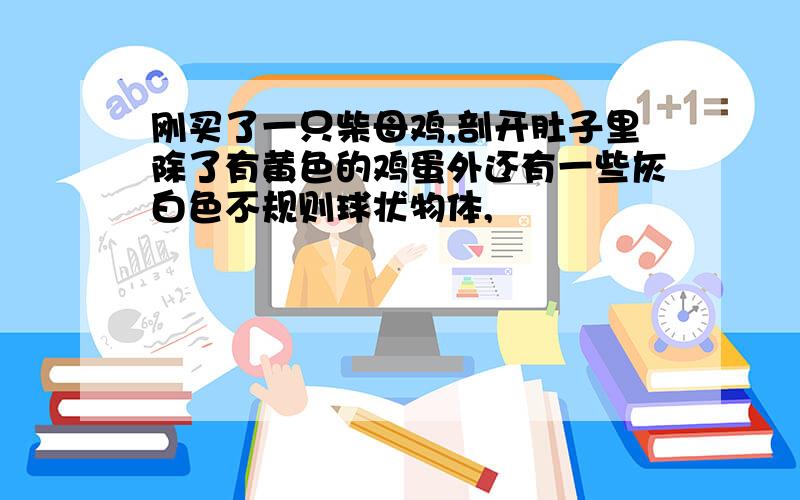 刚买了一只柴母鸡,剖开肚子里除了有黄色的鸡蛋外还有一些灰白色不规则球状物体,