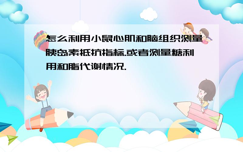 怎么利用小鼠心肌和脑组织测量胰岛素抵抗指标.或者测量糖利用和脂代谢情况.