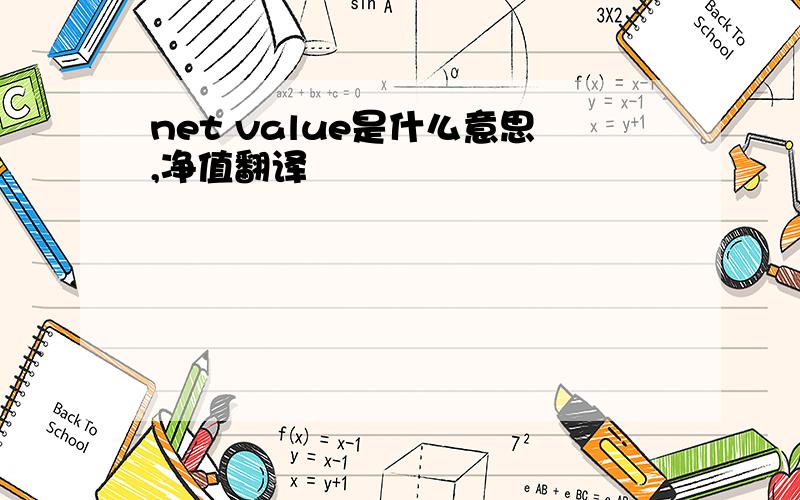 net value是什么意思,净值翻译