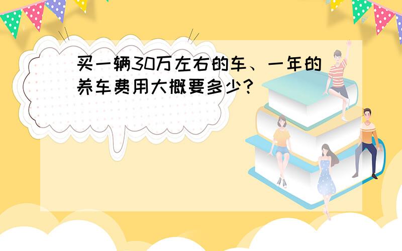 买一辆30万左右的车、一年的养车费用大概要多少?