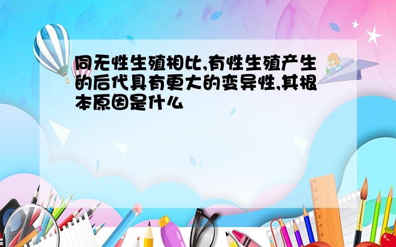 同无性生殖相比,有性生殖产生的后代具有更大的变异性,其根本原因是什么