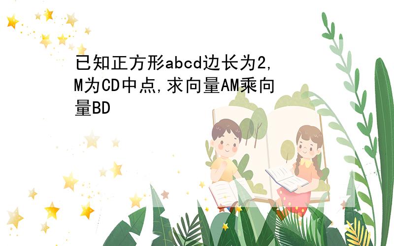 已知正方形abcd边长为2,M为CD中点,求向量AM乘向量BD