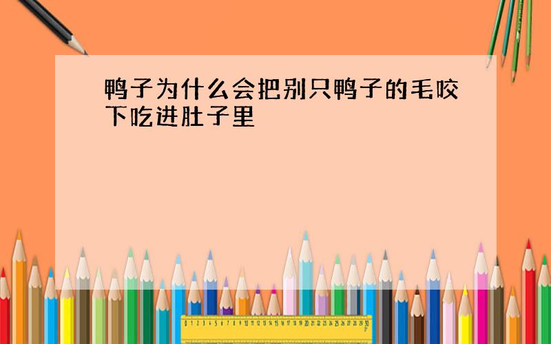 鸭子为什么会把别只鸭子的毛咬下吃进肚子里