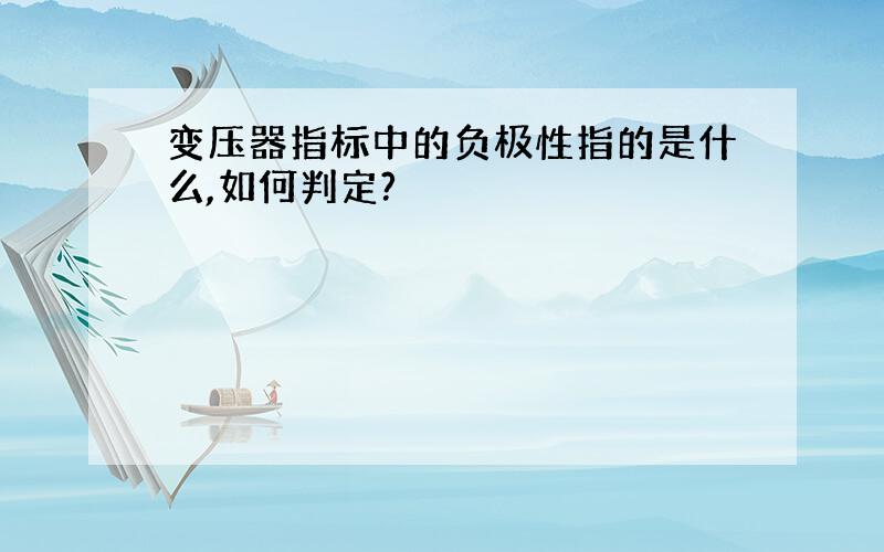 变压器指标中的负极性指的是什么,如何判定?