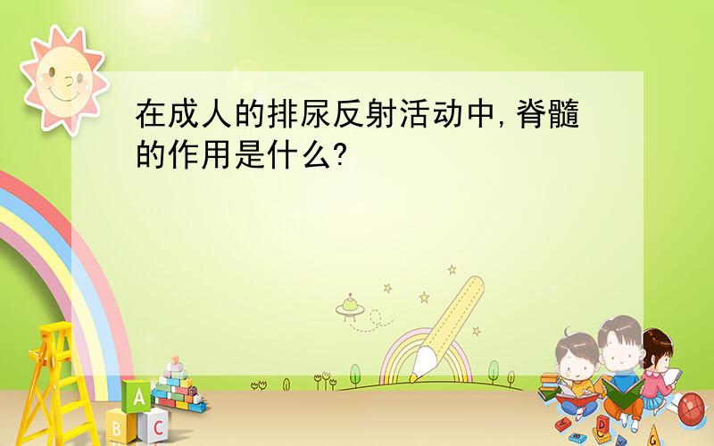 在成人的排尿反射活动中,脊髓的作用是什么?