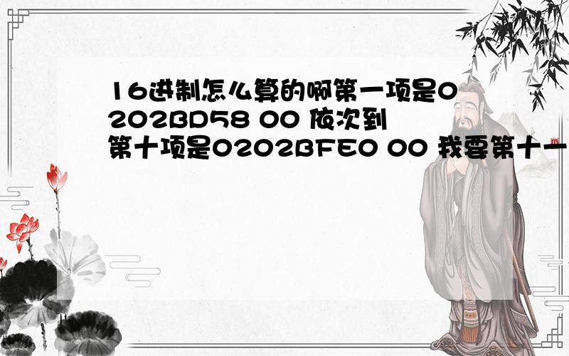 16进制怎么算的啊第一项是0202BD58 00 依次到第十项是0202BFE0 00 我要第十一项