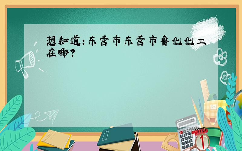 想知道:东营市东营市鲁化化工在哪?