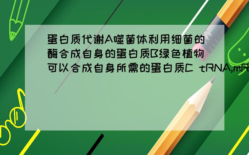 蛋白质代谢A噬菌体利用细菌的酶合成自身的蛋白质B绿色植物可以合成自身所需的蛋白质C tRNA,mRNA,rRNA 都参与