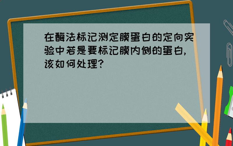 在酶法标记测定膜蛋白的定向实验中若是要标记膜内侧的蛋白,该如何处理?