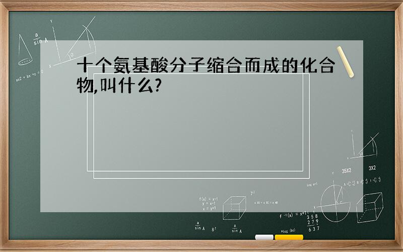 十个氨基酸分子缩合而成的化合物,叫什么?