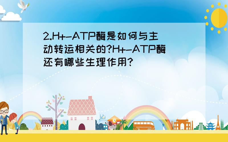 2.H+-ATP酶是如何与主动转运相关的?H+-ATP酶还有哪些生理作用?