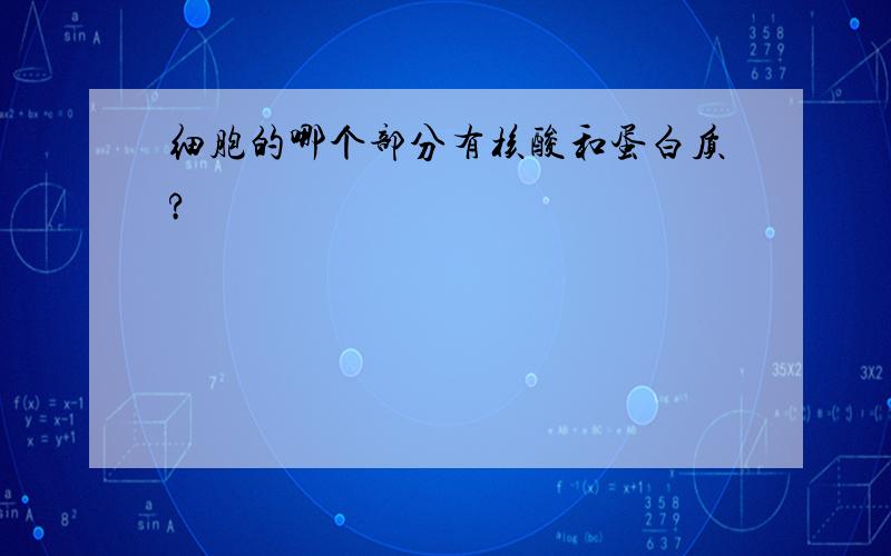 细胞的哪个部分有核酸和蛋白质?