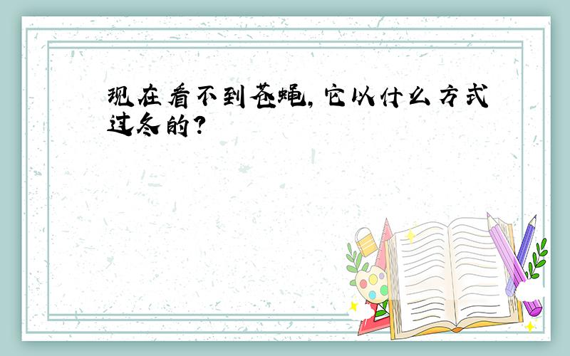 现在看不到苍蝇,它以什么方式过冬的?