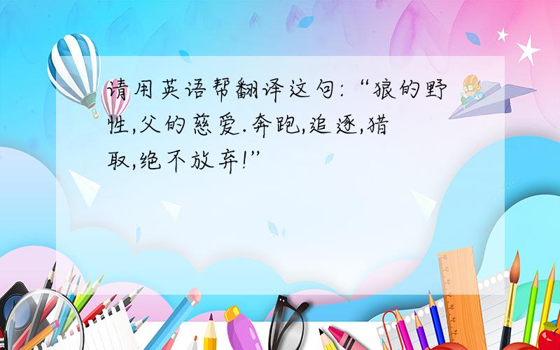 请用英语帮翻译这句:“狼的野性,父的慈爱.奔跑,追逐,猎取,绝不放弃!”