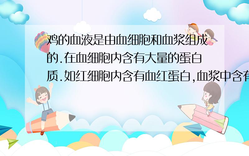 鸡的血液是由血细胞和血浆组成的.在血细胞内含有大量的蛋白质.如红细胞内含有血红蛋白,血浆中含有的蛋白质叫血浆蛋白.请你利