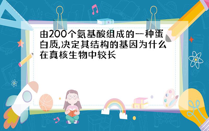 由200个氨基酸组成的一种蛋白质,决定其结构的基因为什么在真核生物中较长