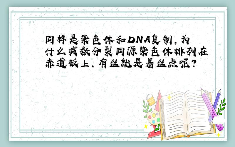 同样是染色体和DNA复制,为什么减数分裂同源染色体排列在赤道板上,有丝就是着丝点呢?