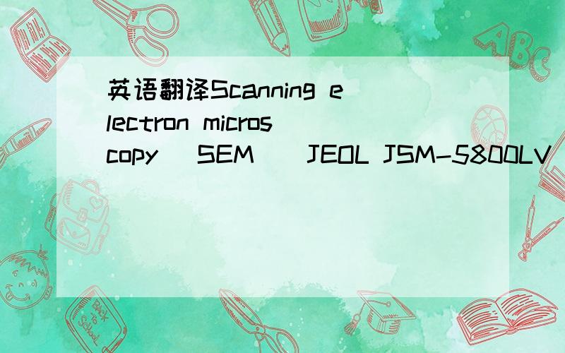 英语翻译Scanning electron microscopy (SEM)(JEOL JSM-5800LV model