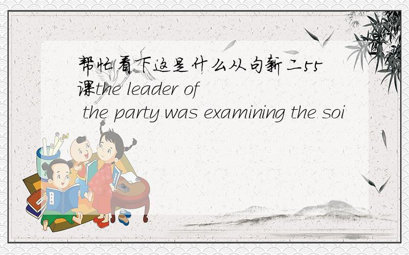 帮忙看下这是什么从句新二55课the leader of the party was examining the soi