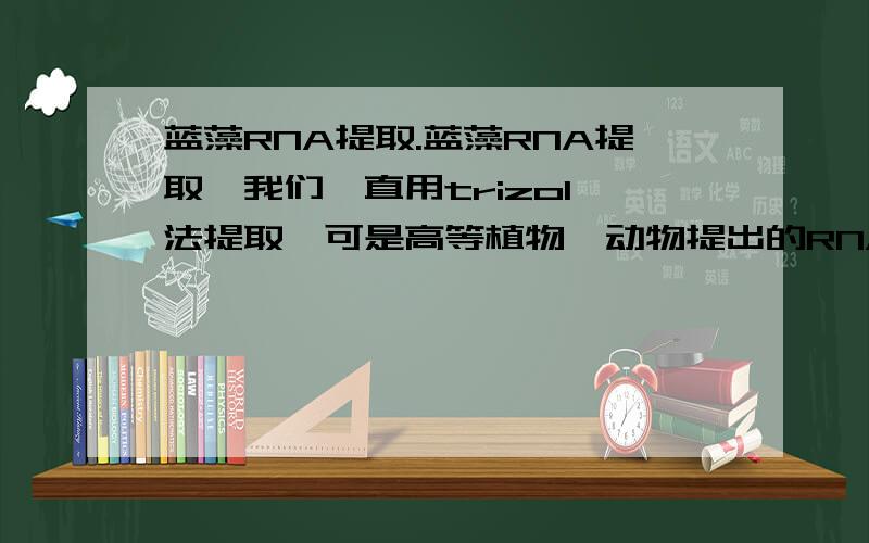 蓝藻RNA提取.蓝藻RNA提取,我们一直用trizol 法提取,可是高等植物,动物提出的RNA比值都很高啊,蓝藻提的RN