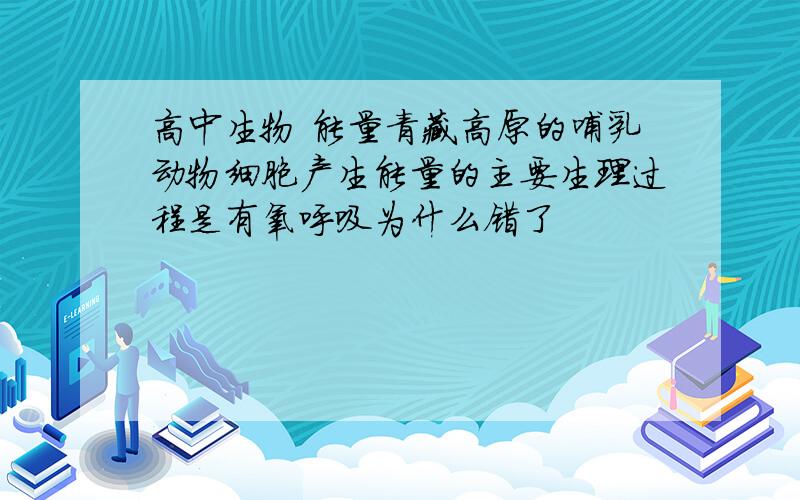 高中生物 能量青藏高原的哺乳动物细胞产生能量的主要生理过程是有氧呼吸为什么错了