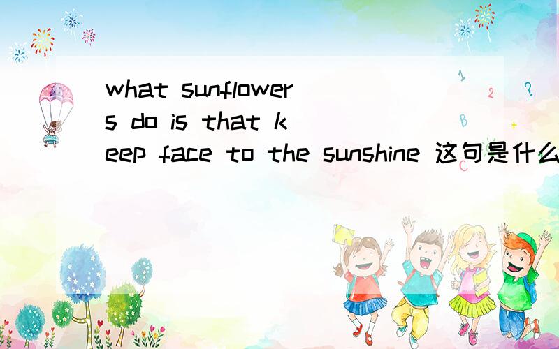 what sunflowers do is that keep face to the sunshine 这句是什么从句