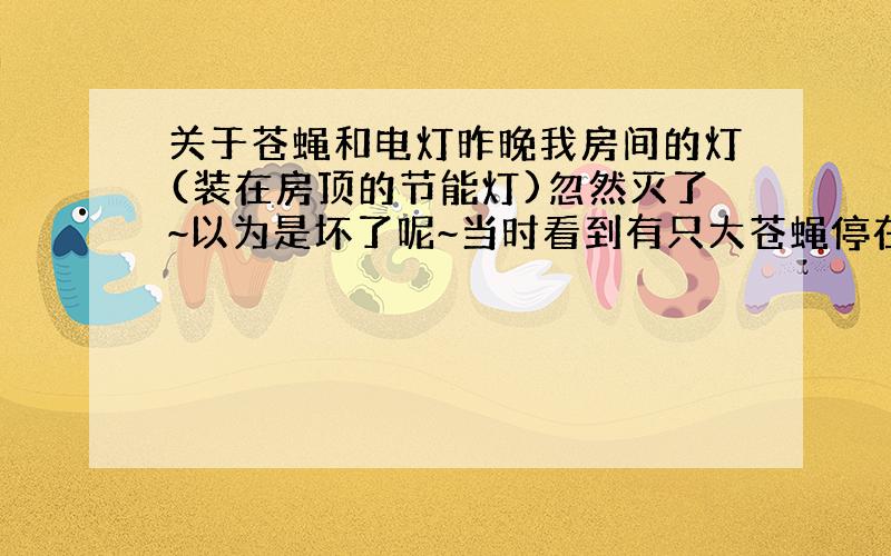 关于苍蝇和电灯昨晚我房间的灯(装在房顶的节能灯)忽然灭了~以为是坏了呢~当时看到有只大苍蝇停在灯边上（房顶上）一动不动的