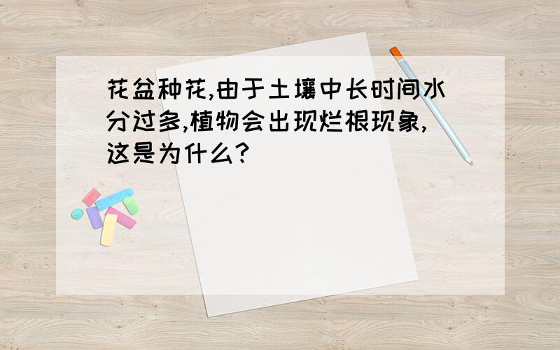 花盆种花,由于土壤中长时间水分过多,植物会出现烂根现象,这是为什么?