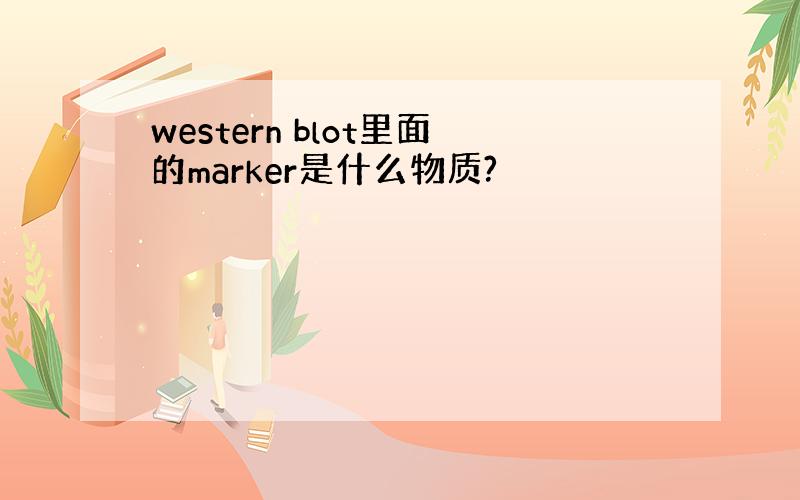 western blot里面的marker是什么物质?