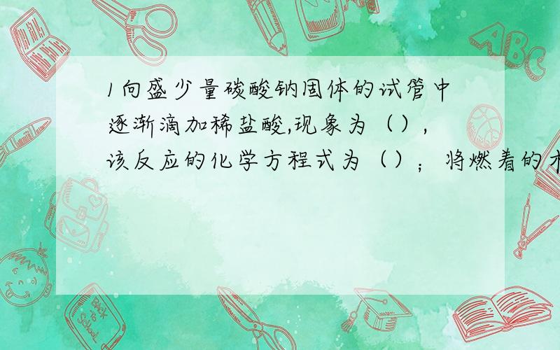 1向盛少量碳酸钠固体的试管中逐渐滴加稀盐酸,现象为（）,该反应的化学方程式为（）；将燃着的木条深入试管口后现象为（）