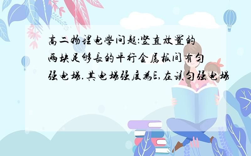 高二物理电学问题：竖直放置的两块足够长的平行金属板间有匀强电场.其电场强度为E,在该匀强电场