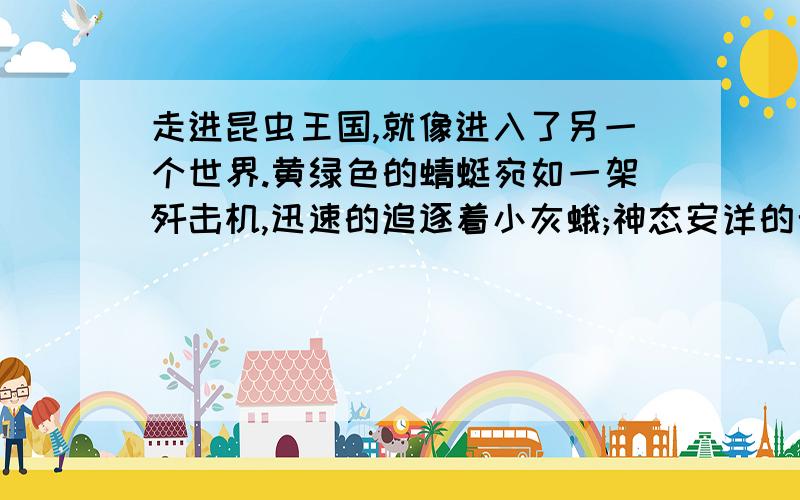 走进昆虫王国,就像进入了另一个世界.黄绿色的蜻蜓宛如一架歼击机,迅速的追逐着小灰蛾;神态安详的七星瓢虫,在灌木丛的叶尖上