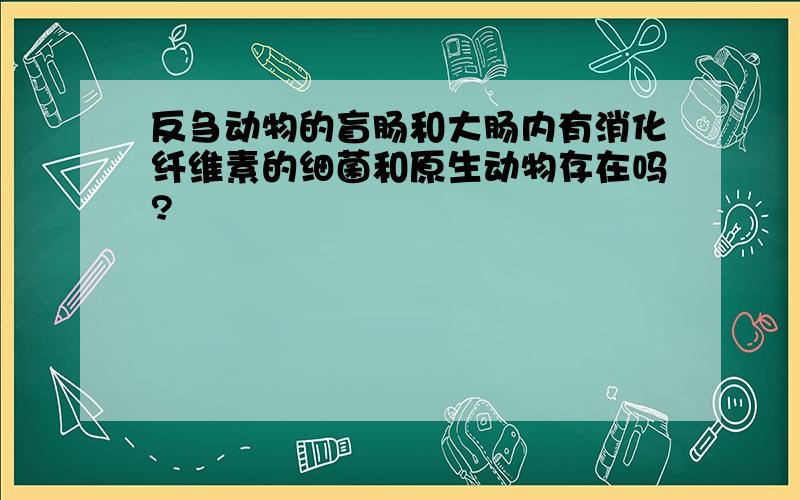 反刍动物的盲肠和大肠内有消化纤维素的细菌和原生动物存在吗?