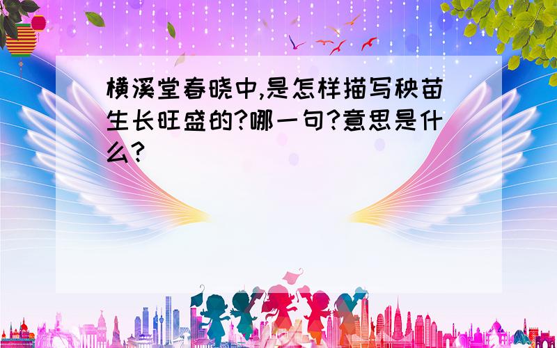 横溪堂春晓中,是怎样描写秧苗生长旺盛的?哪一句?意思是什么?