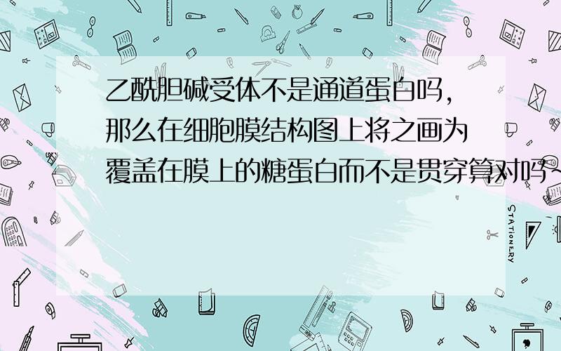 乙酰胆碱受体不是通道蛋白吗,那么在细胞膜结构图上将之画为覆盖在膜上的糖蛋白而不是贯穿算对吗~