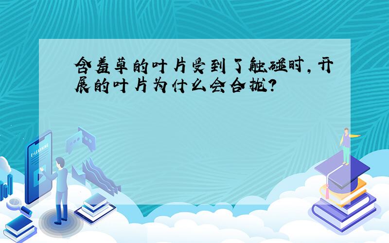 含羞草的叶片受到了触碰时,开展的叶片为什么会合拢?