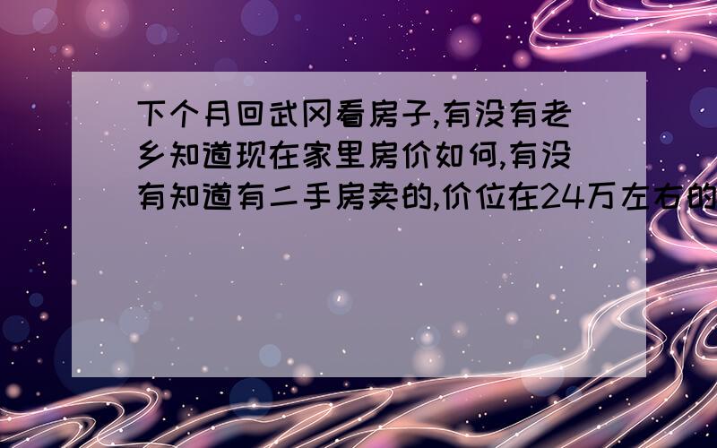 下个月回武冈看房子,有没有老乡知道现在家里房价如何,有没有知道有二手房卖的,价位在24万左右的