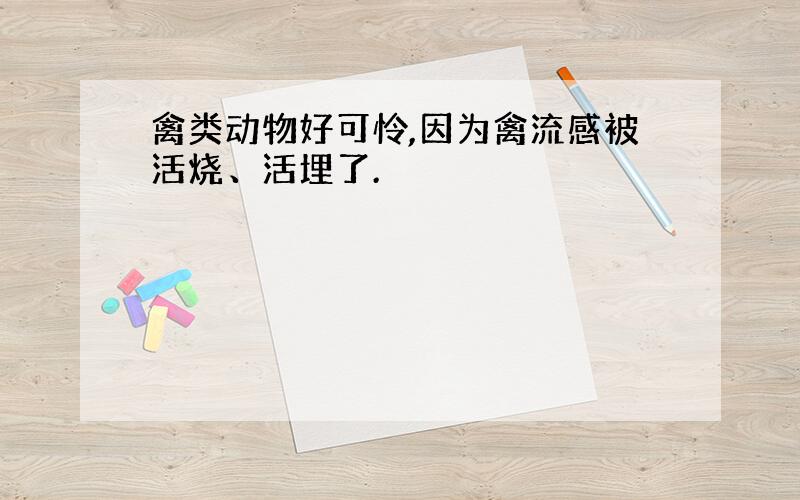 禽类动物好可怜,因为禽流感被活烧、活埋了.