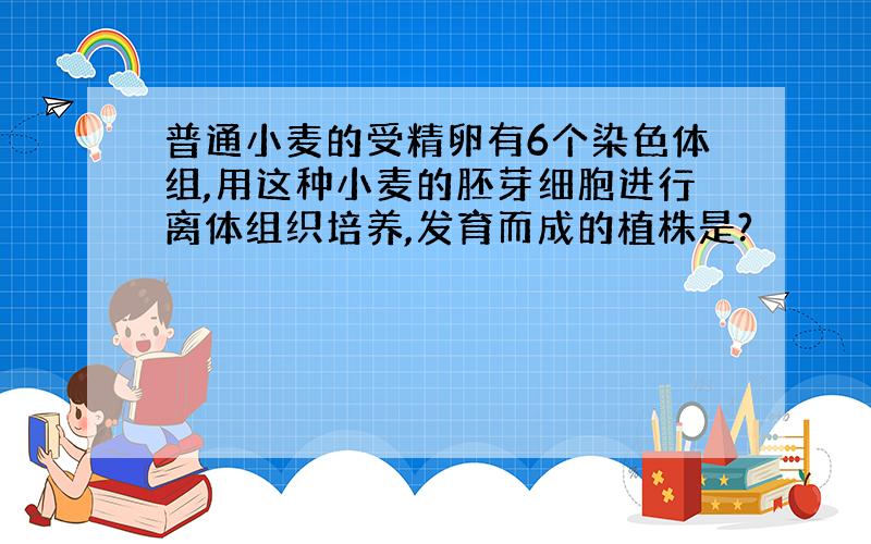 普通小麦的受精卵有6个染色体组,用这种小麦的胚芽细胞进行离体组织培养,发育而成的植株是?