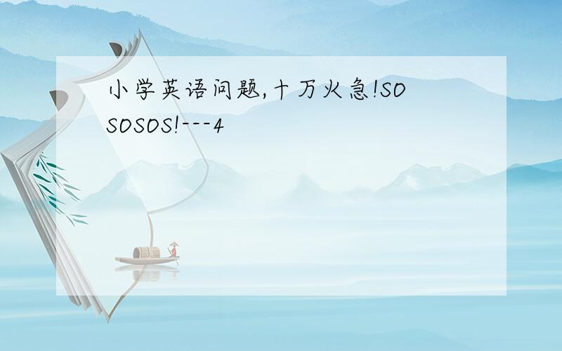 小学英语问题,十万火急!SOSOSOS!---4