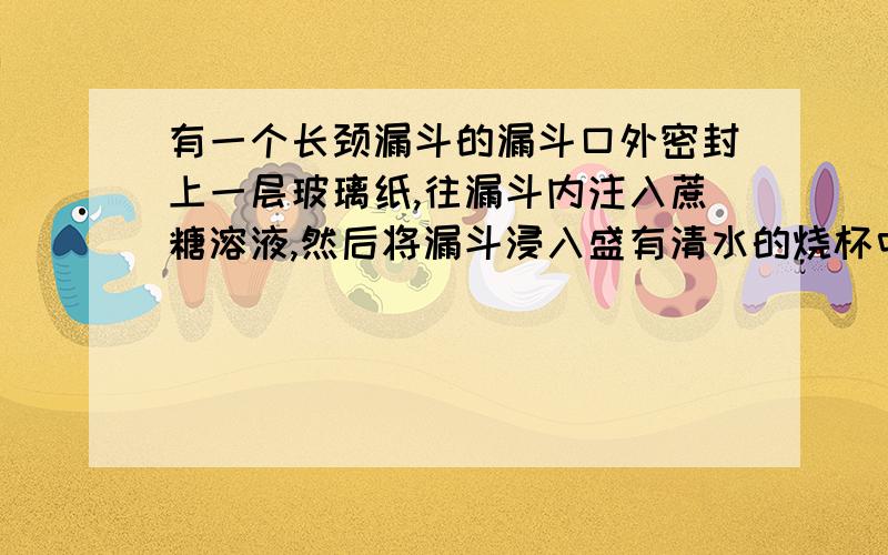 有一个长颈漏斗的漏斗口外密封上一层玻璃纸,往漏斗内注入蔗糖溶液,然后将漏斗浸入盛有清水的烧杯中,使漏斗管内外的液面高度相