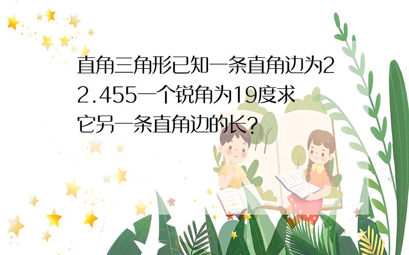 直角三角形已知一条直角边为22.455一个锐角为19度求它另一条直角边的长?