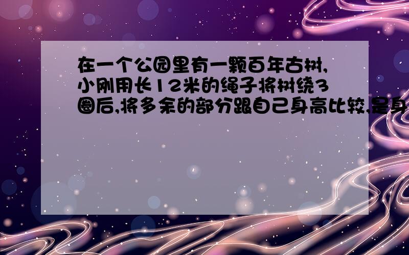 在一个公园里有一颗百年古树,小刚用长12米的绳子将树绕3圈后,将多余的部分跟自己身高比较,是身长的一倍半已知整根绳子是小