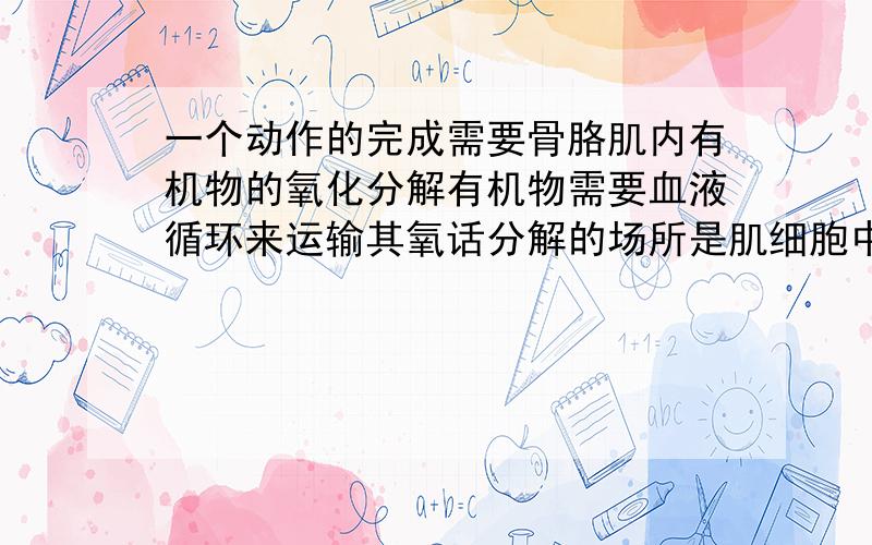 一个动作的完成需要骨胳肌内有机物的氧化分解有机物需要血液循环来运输其氧话分解的场所是肌细胞中的什么