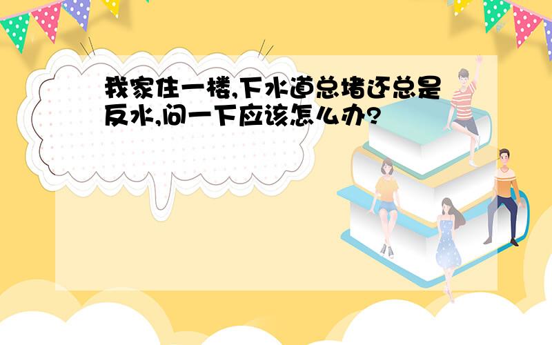 我家住一楼,下水道总堵还总是反水,问一下应该怎么办?