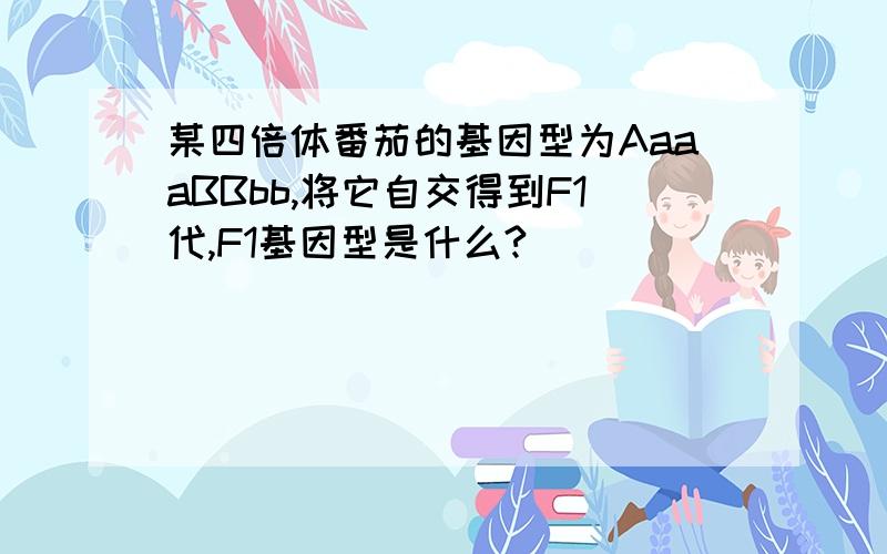 某四倍体番茄的基因型为AaaaBBbb,将它自交得到F1代,F1基因型是什么?